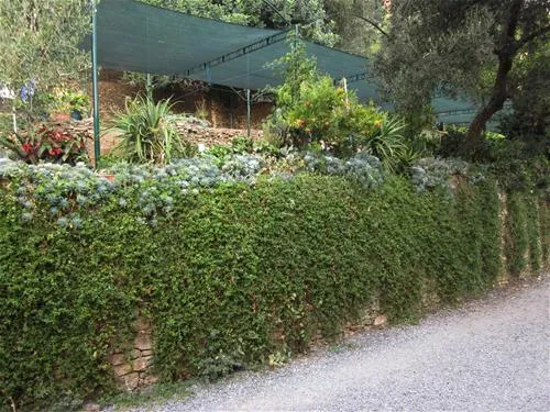 camping-san-sebastiano-laigueglia-sfuq0