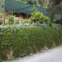 Camping San Sebastiano