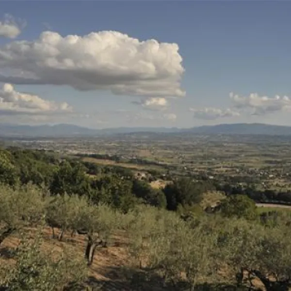 camping-fontemaggio-assisi-xkrev