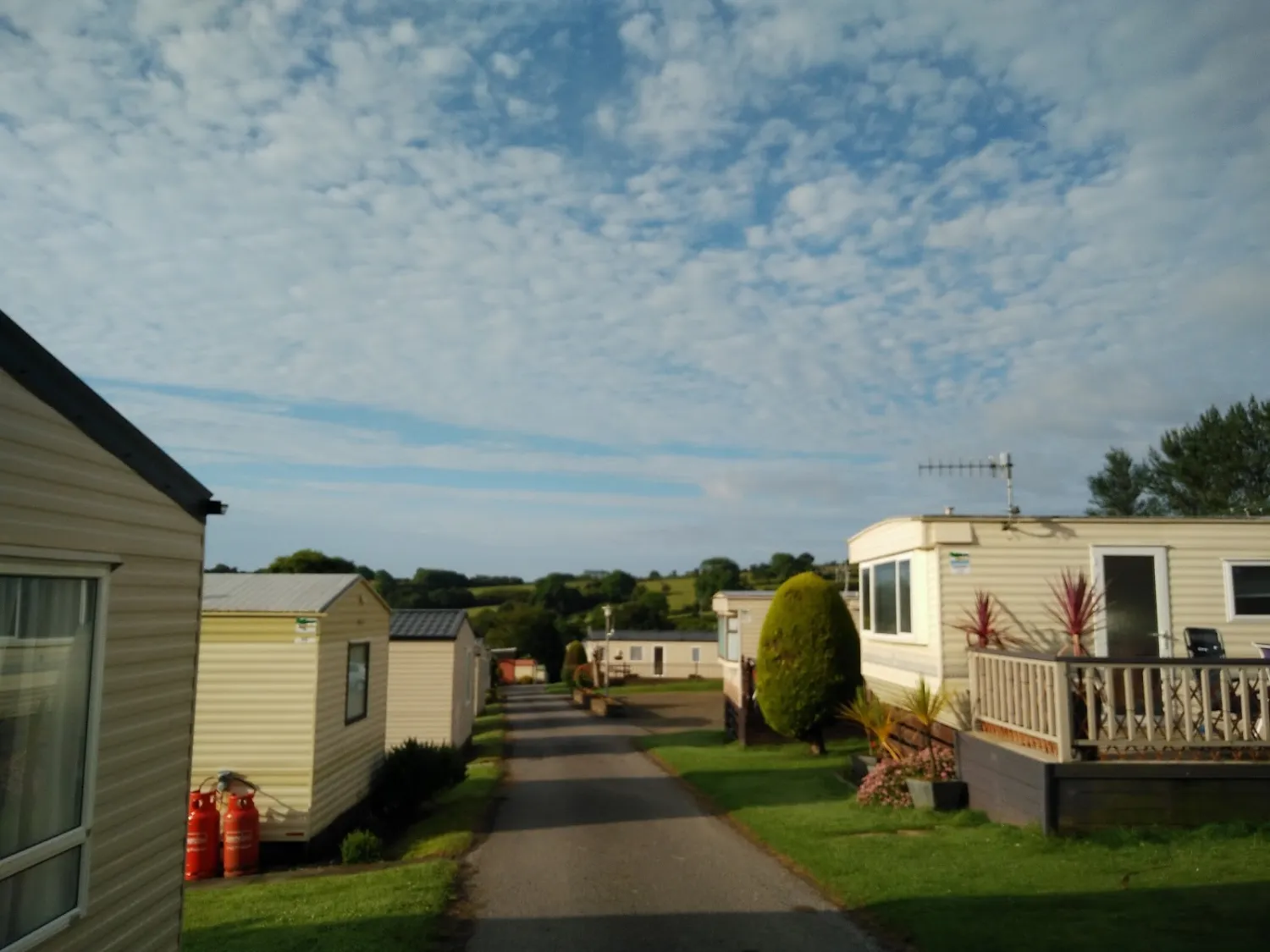 well-park-c-c-site-new-hedges-b40jj