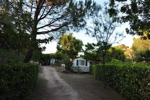 camping-tavolara-loiri-porto-san-paolo-bhofd
