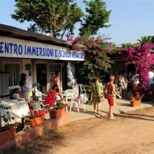 camping-tavolara-loiri-porto-san-paolo-bztmf