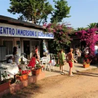 camping-tavolara-loiri-porto-san-paolo-bztmf