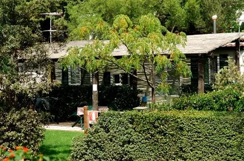 camping-tavolara-loiri-porto-san-paolo-jvdnw
