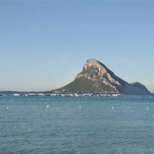 camping-tavolara-loiri-porto-san-paolo-uujbj