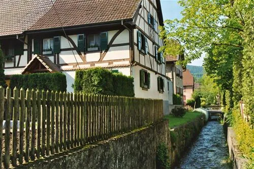 villagecenter-les-lupins-seppoislebas-1sn8c