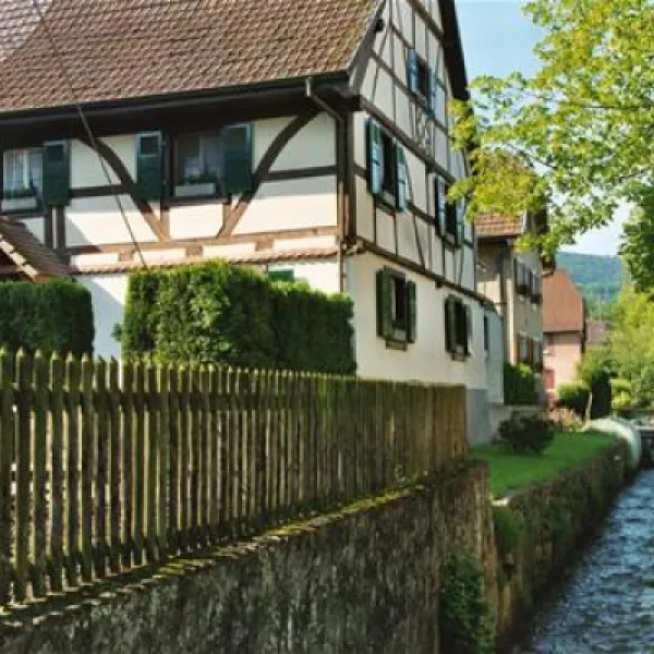 villagecenter-les-lupins-seppoislebas-1sn8c