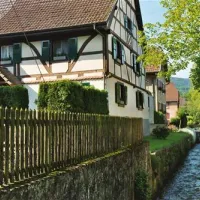 villagecenter-les-lupins-seppoislebas-1sn8c