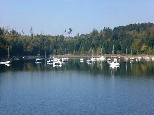 camping-vosgina-moyenmoutier-liq6y