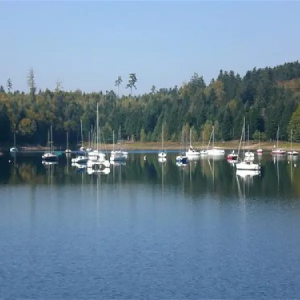 camping-vosgina-moyenmoutier-liq6y