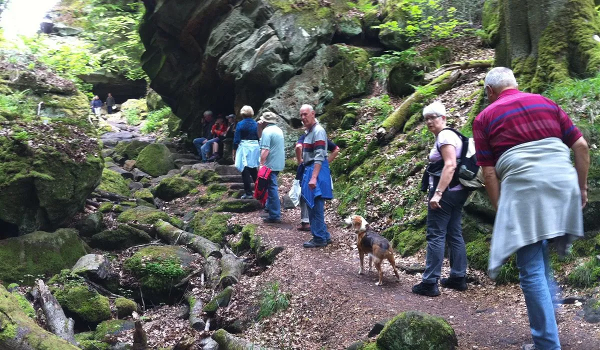 camping-nimseck-irrel-hcr9y