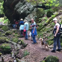 camping-nimseck-irrel-hcr9y