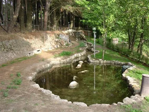 camping-residence-amiata-casteldelpiano-nzesb
