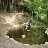 camping-residence-amiata-casteldelpiano-nzesb