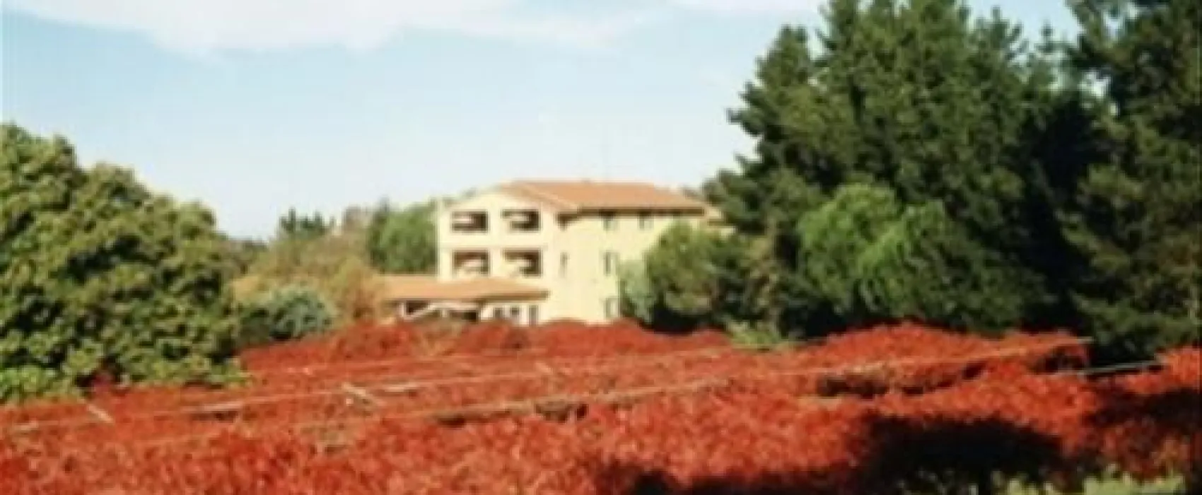 Camping Residence Amiata