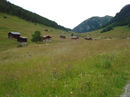 camping-riffler-landeck-ryva6