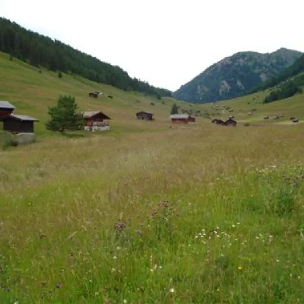 camping-riffler-landeck-ryva6