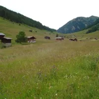 camping-riffler-landeck-ryva6