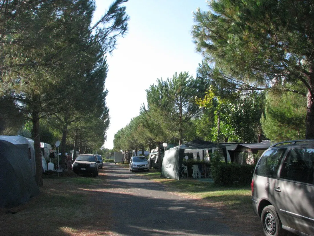 camping-delle-gorette-cecina-mare-rfohv