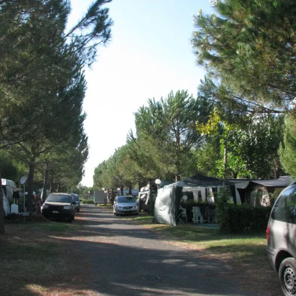 camping-delle-gorette-cecina-mare-rfohv