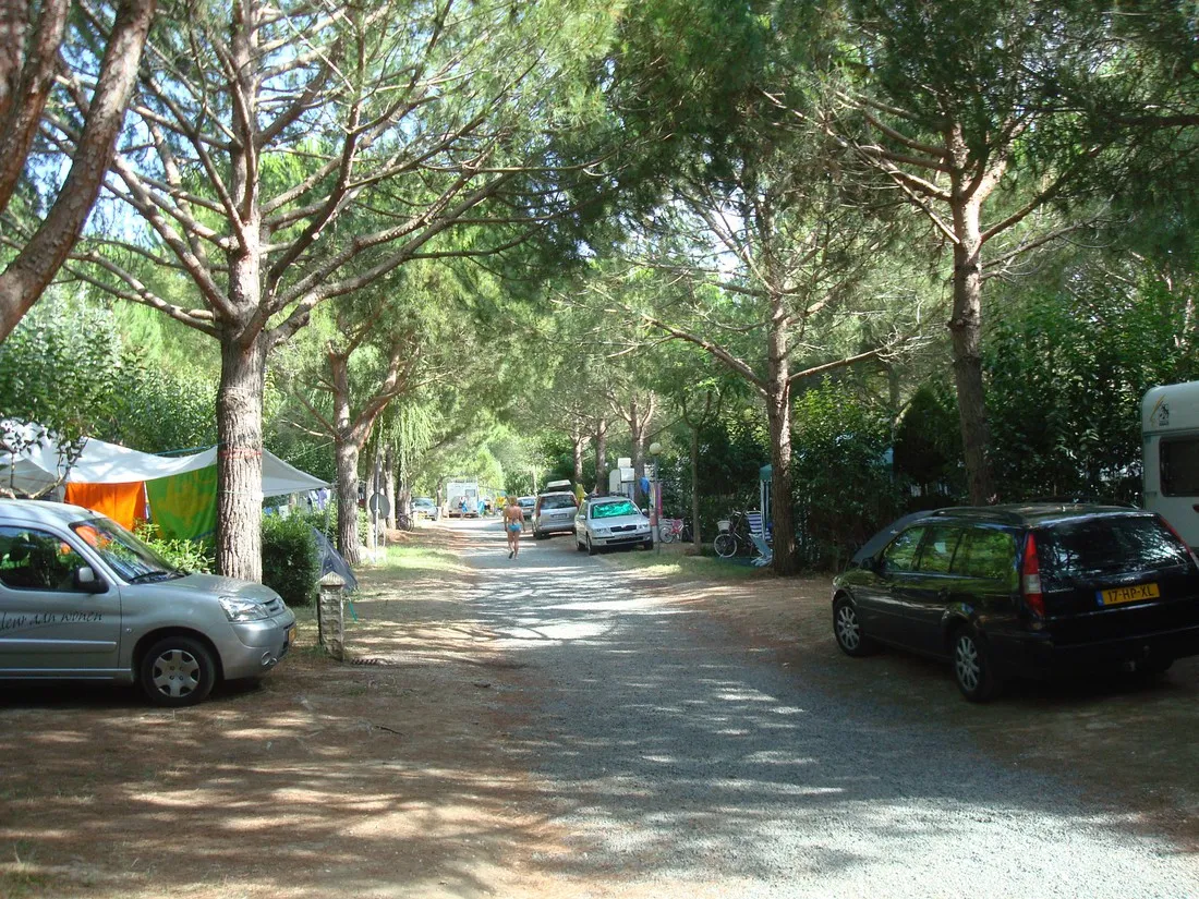 camping-delle-gorette-cecina-mare-tyxlx