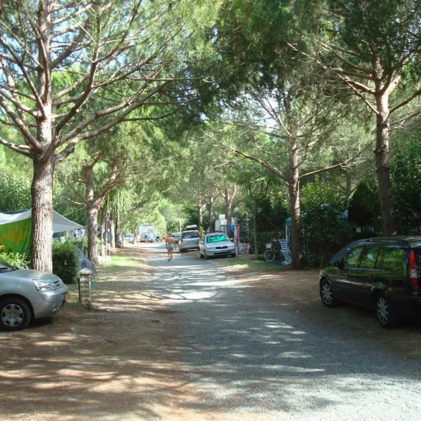 camping-delle-gorette-cecina-mare-tyxlx