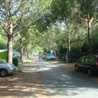 camping-delle-gorette-cecina-mare-tyxlx