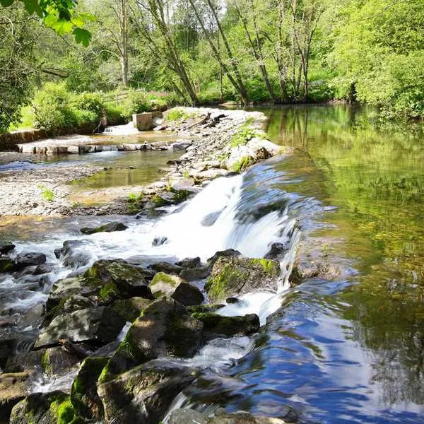 exe-valley-caravan-site-dulverton-hgtzr