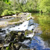 exe-valley-caravan-site-dulverton-hgtzr