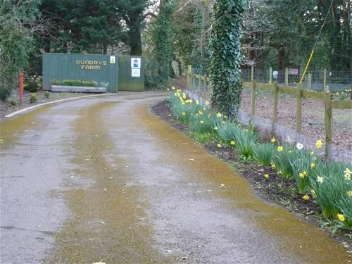 gundrys-farm-campsite-wimborne-cncwf