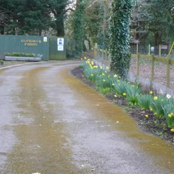 gundrys-farm-campsite-wimborne-cncwf