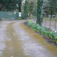gundrys-farm-campsite-wimborne-cncwf