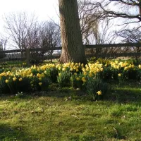 gundrys-farm-campsite-wimborne-kdvg5