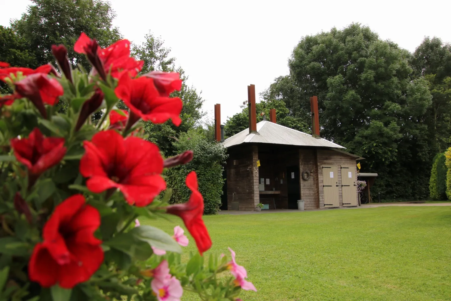 camping-langs-de-dedemsvaart-dedemsvaart-4shzf
