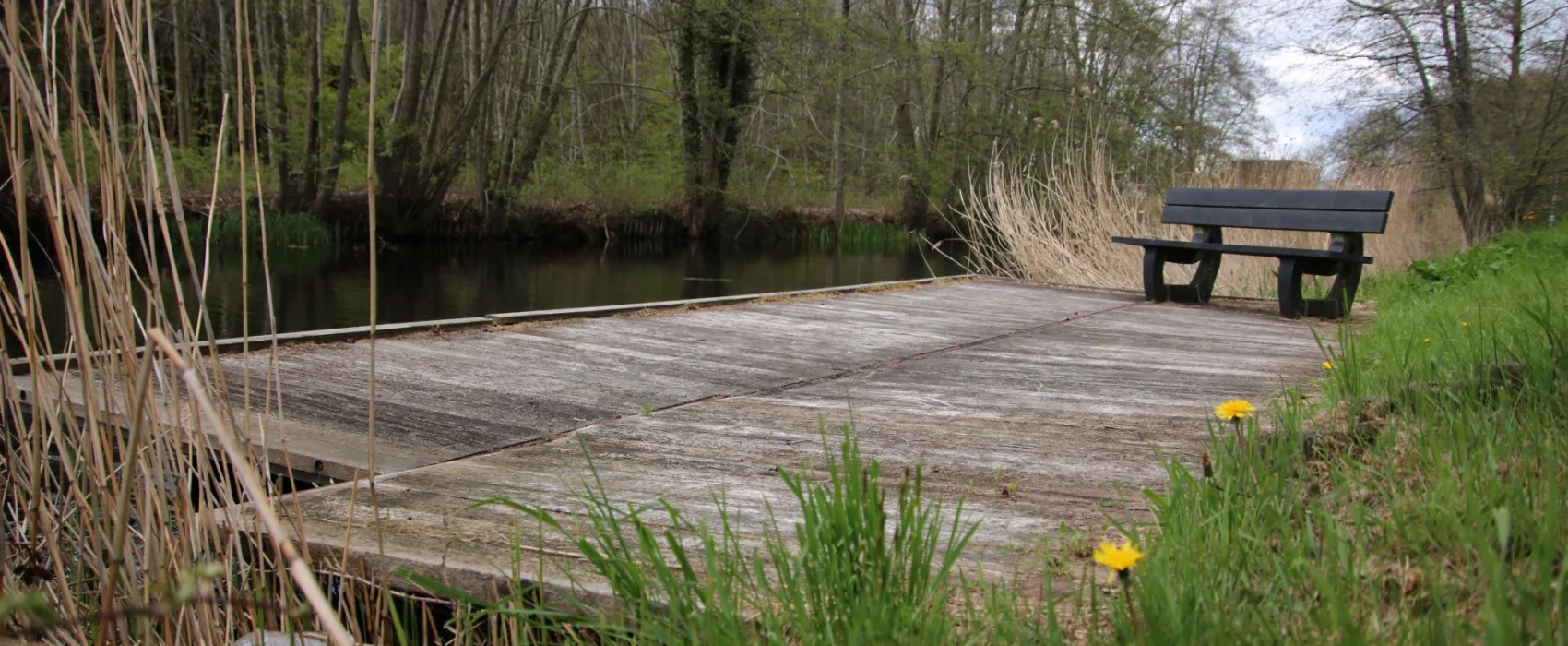 Camping Langs de Dedemsvaart