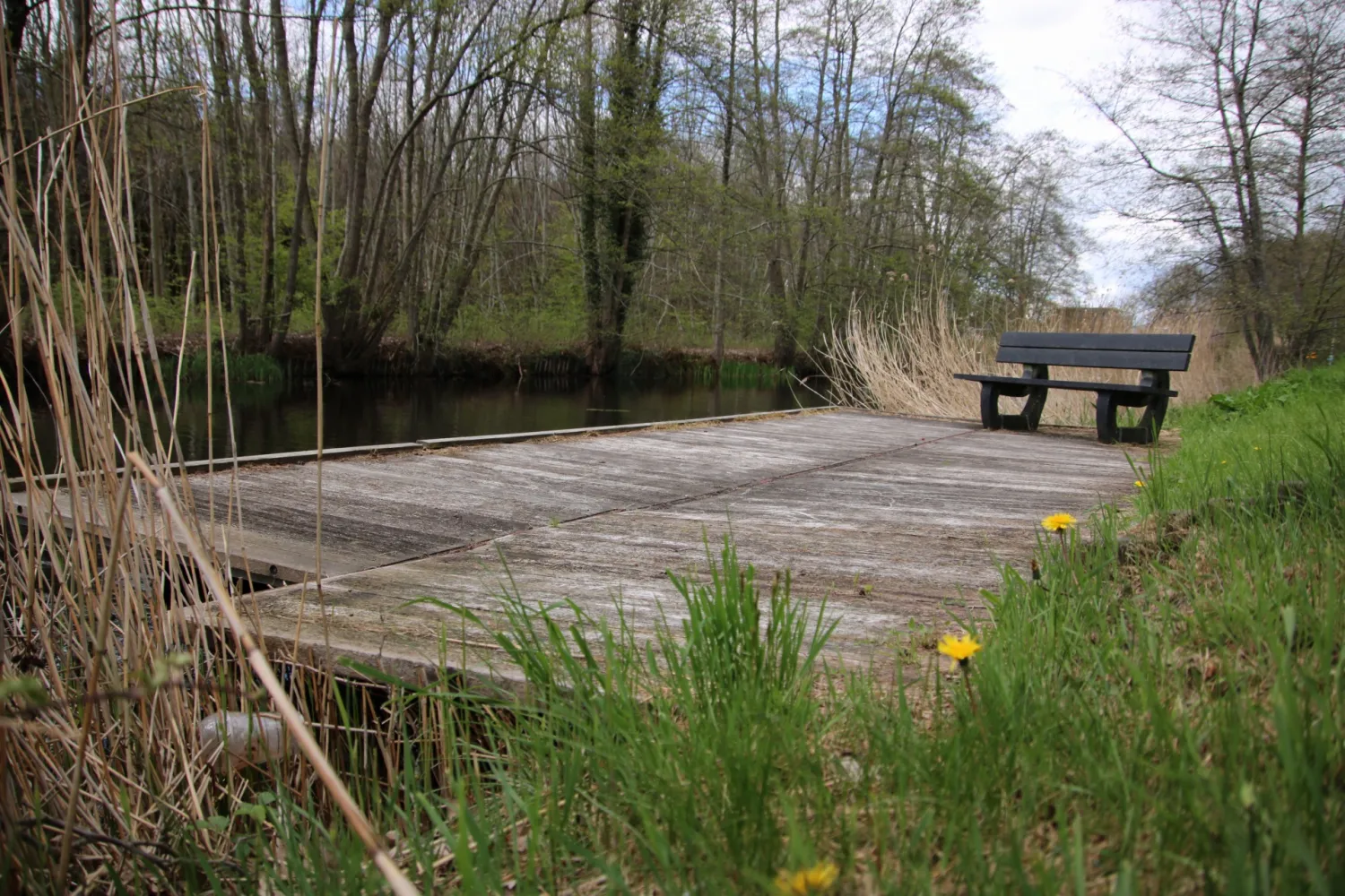 camping-langs-de-dedemsvaart-dedemsvaart-tc6ex