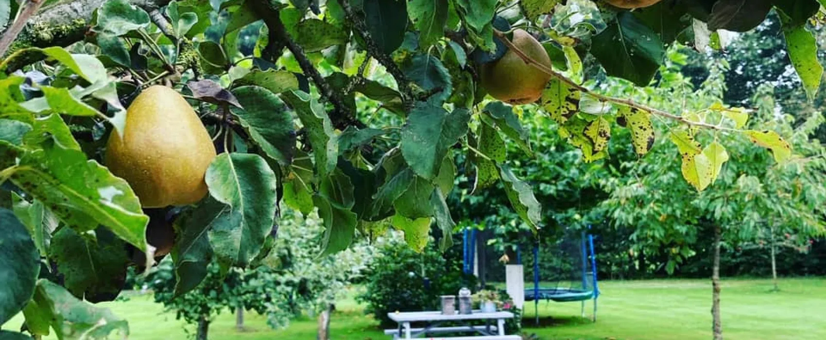 Camping Langs de Dedemsvaart