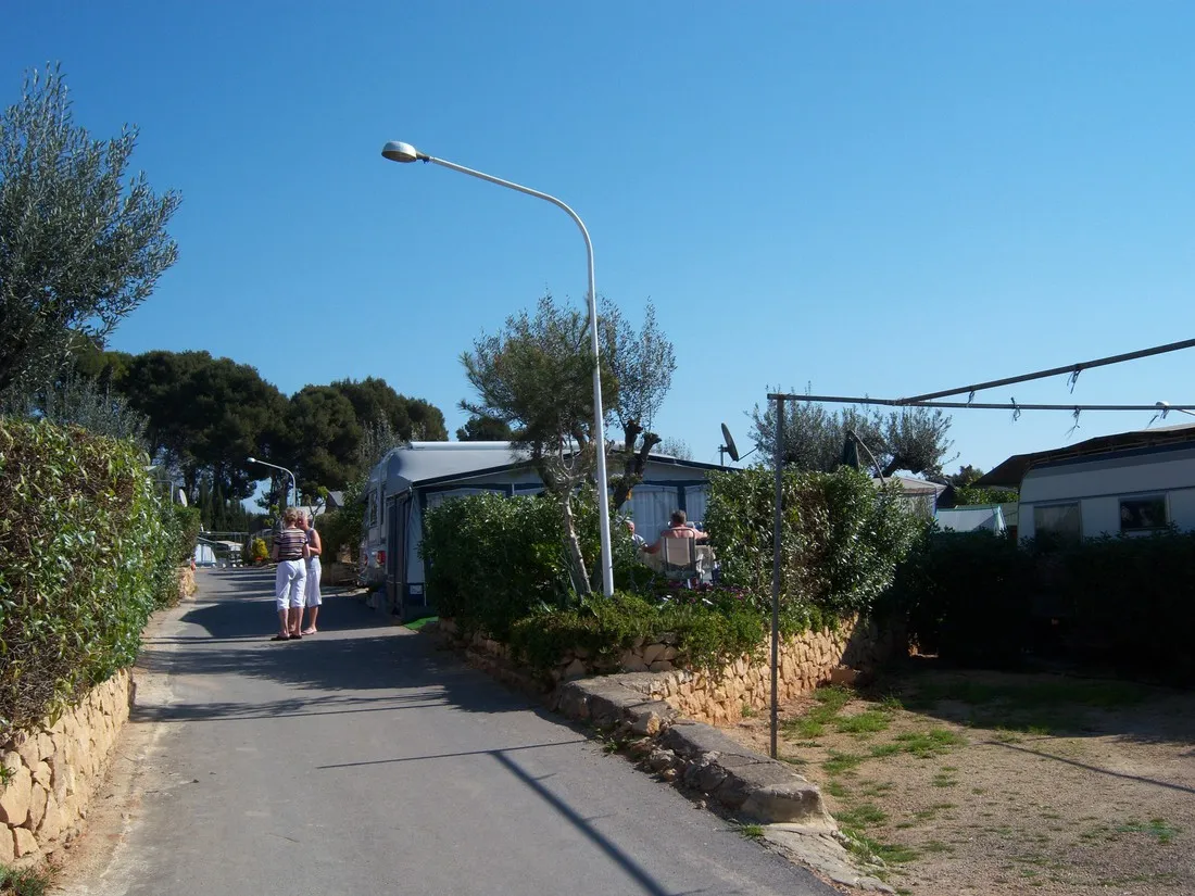 benisol-benidorm-fp3tl