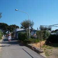 Benisol