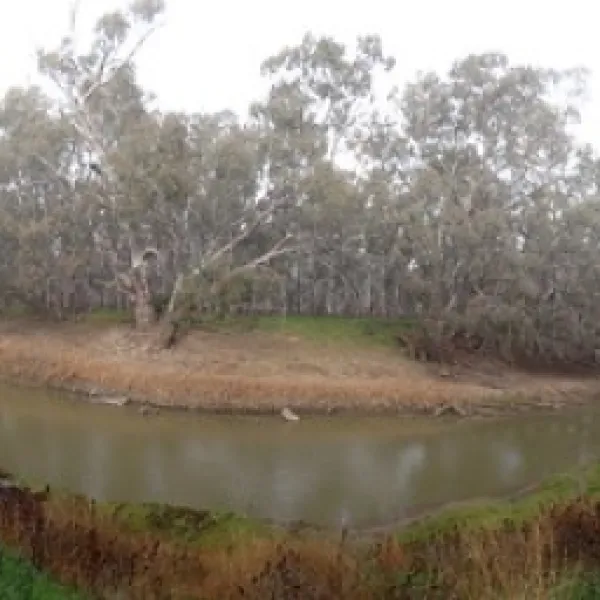 gum-bend-lake-campground-condobolin-6oryl