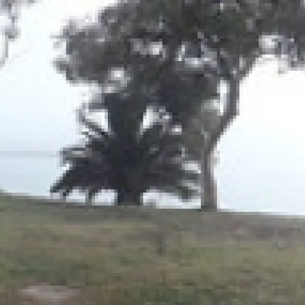gum-bend-lake-campground-condobolin-dv2ro
