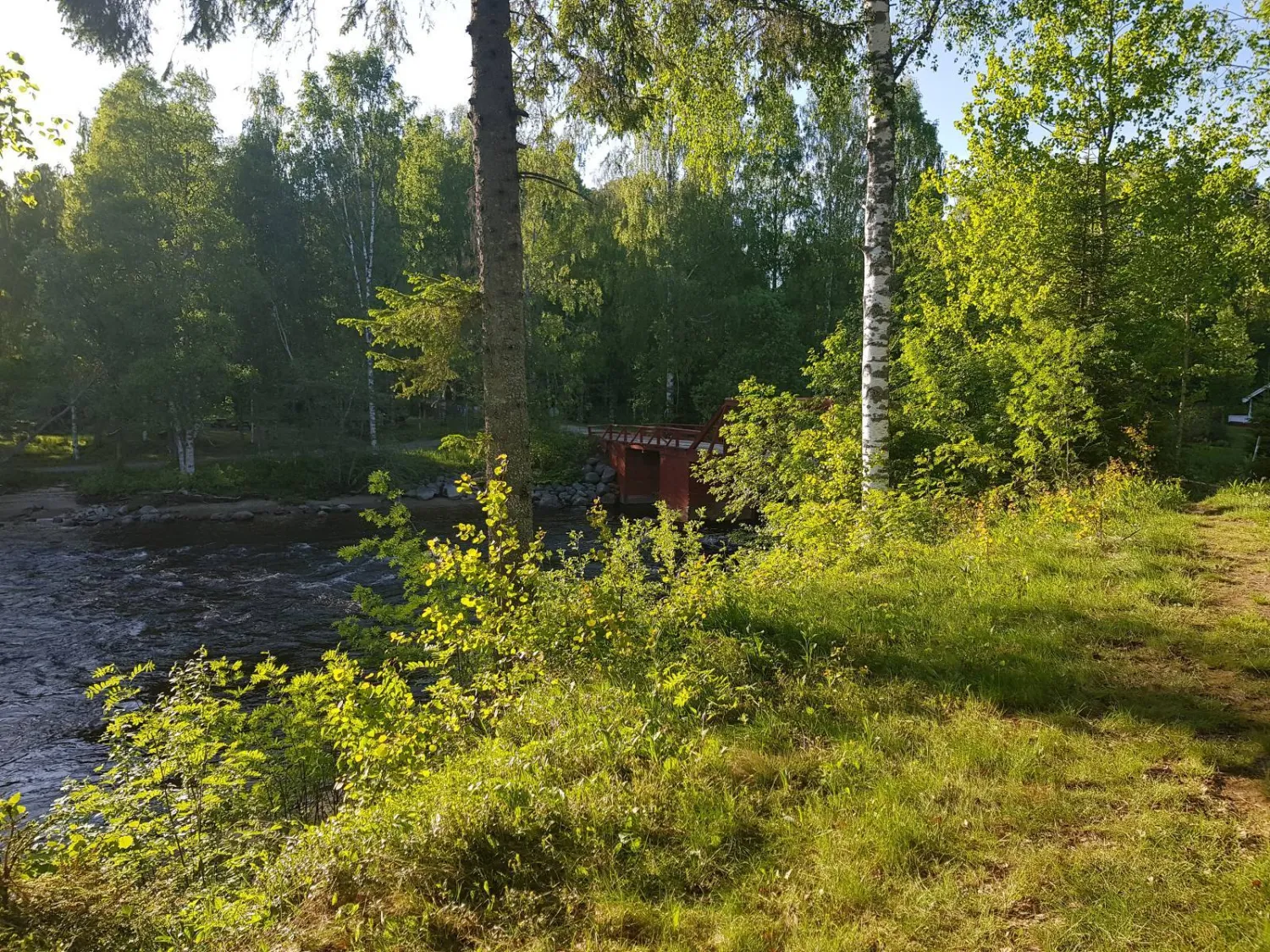 where-the-wild-river-runs-nordmaling-1hlbt