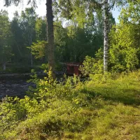 where-the-wild-river-runs-nordmaling-1hlbt