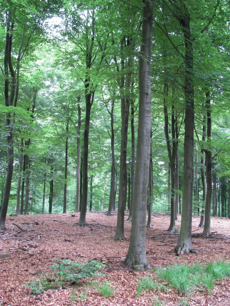 de-bunders-vierhouten-7zp8q