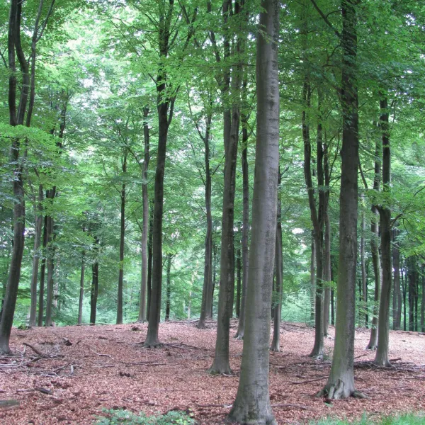 de-bunders-vierhouten-7zp8q