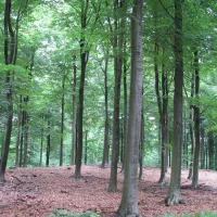 de-bunders-vierhouten-7zp8q