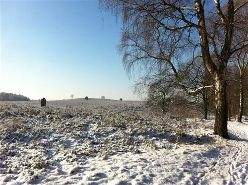 de-bunders-vierhouten-hcwx0