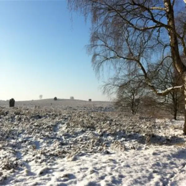 de-bunders-vierhouten-hcwx0