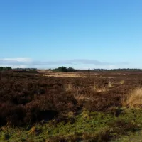 de-bunders-vierhouten-magcq