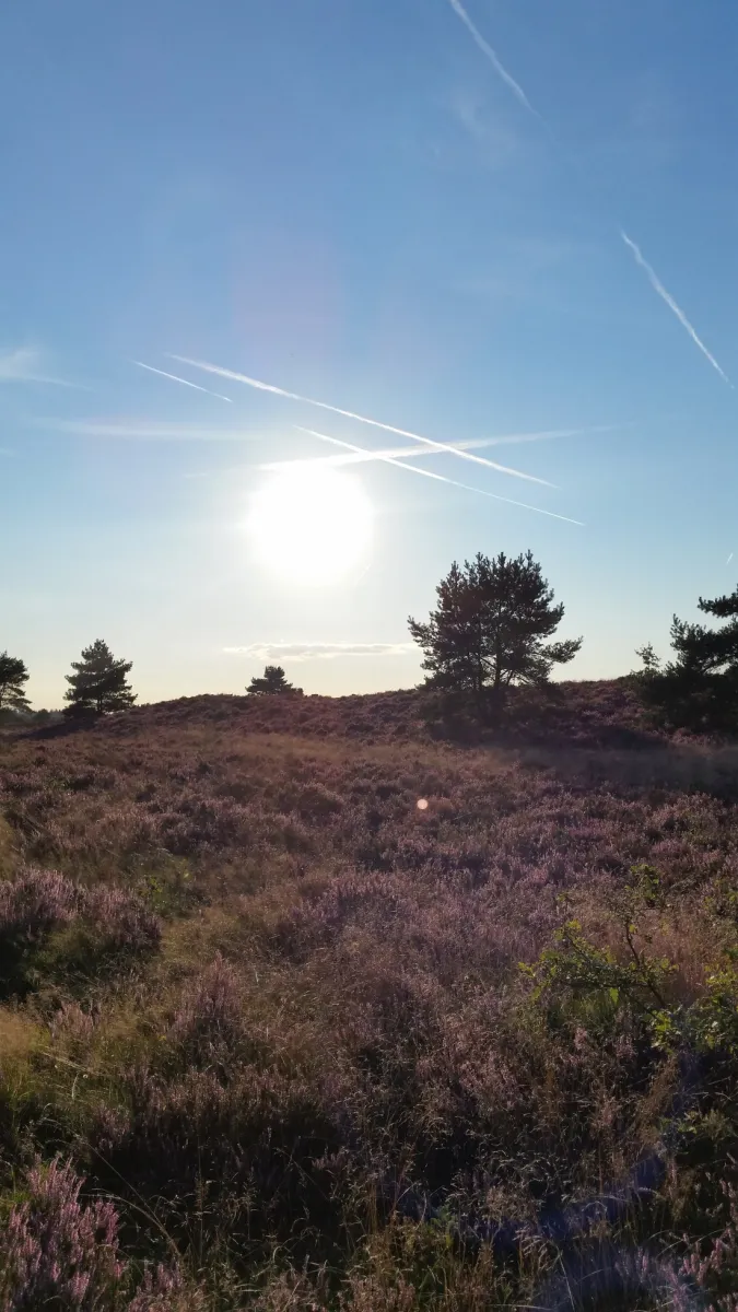 de-bunders-vierhouten-pe721
